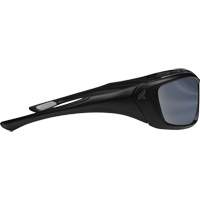 Lunettes de s&eacute;curit&eacute; Robson avec joint, Lentille Miroir argent&eacute;, Anti-&eacute;gratignures/Polaris&eacute;, ANSI Z87+/MCEPS GL-PD 10-12/R&eacute;pond ou surpasse la norme CSA Z94.3 Absolute Business Supply