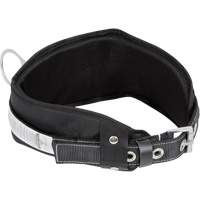 WB-6010-S Safety Restraint 1 D-Ring Belt with Padded Lumbar Support - Small Absolute Business Supply