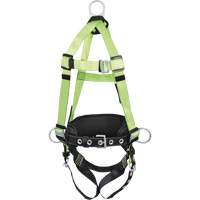 FBH10020A1020-S  Contractor Series Safety Harness, CSA Certified, Class AP, Small Absolute Business Supply