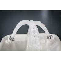 Eye/Face Wash, Wall-Mount Installation, Plastic Bowl Absolute Business Supply