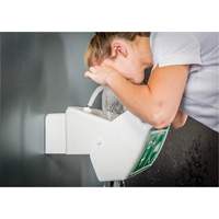 Eye/Face Wash, Wall-Mount Installation, Plastic Bowl Absolute Business Supply