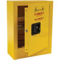 Armoire de s&eacute;curit&eacute; miniature pour produits inflammables, 2 gal., 1 Porte(s), 17" La x 22" h x 8" p Absolute Business Supply