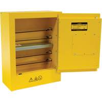 Armoire de s&eacute;curit&eacute; miniature pour produits inflammables, 2 gal., 1 Porte(s), 17" La x 22" h x 8" p Absolute Business Supply