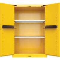 Armoire de s&eacute;curit&eacute; pour produits inflammables Utili-Guard+, 45 gal., 2 Porte(s), 43" La x 65" h x 22" p Absolute Business Supply