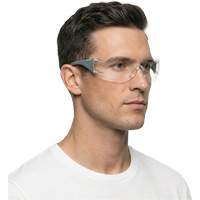 Adapt Lite Grey/Green Safety Glasses, Clear Lens, Anti-Fog/Anti-Scratch, ANSI Z87+/Meets/Exceeds CSA Z94.3 Absolute Business Supply