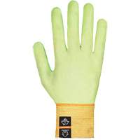 Gants ultra-fins haute visibilit&eacute; r&eacute;sistants &agrave; la coupe Dexterity Max, Taille 5, Rev&ecirc;tement Mousse de nitrile, Enveloppe en TenActiv, ASTM ANSI niveau A6 Absolute Business Supply