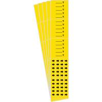 Marqueurs de tuyau avec espace vierge suivi du symbole °F , Autocollant, 2-1/4" h x 14" la, Noir sur jaune Absolute Business Supply