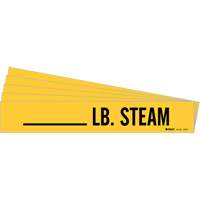 Marqueurs de tuyau LB. Steam, Autocollant, 2-1/4" h x 2-3/4" la, Noir sur jaune Absolute Business Supply