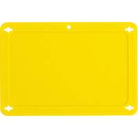 Blank Valve Tag, Plastic, 4-3/4" W x 3-1/4" H Absolute Business Supply