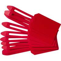 &eacute;tiquettes de cadenassage vierges en plastique, Plastique, 3-1/4" la x 5-4/5" h, Vierge Absolute Business Supply