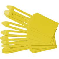 &eacute;tiquettes de cadenassage vierges en plastique, Plastique, 3-1/4" la x 5-4/5" h, Vierge Absolute Business Supply