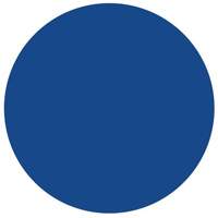 Round Write-On Labels, Circle, 1.5" L x 1.5" W, Blue Absolute Business Supply