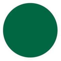 Round Write-On Labels, Circle, 1.5" L x 1.5" W, Green Absolute Business Supply