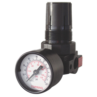 Mini Regulators, 1/4" NPT, 165 PSI Max. PSI, Modular Absolute Business Supply