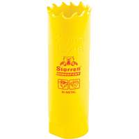 Scie &agrave; cloche bim&eacute;tal 13/16", 13/16", Profondeur de la coupe 2", Bim&eacute;tal Absolute Business Supply