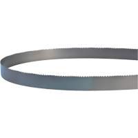 Lame soud&eacute;e pour scie &agrave; ruban, Bim&eacute;tal, 14' lo x 1" la x 4 - 6 dents par pouce Absolute Business Supply