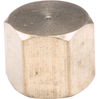Pipe Caps, Brass Absolute Business Supply