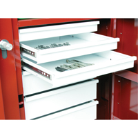 &eacute;tabli roulant, 49-7/8" la x 40-5/8" h x 26-7/8" p, Capacit&eacute; de 24,6 pi³ Absolute Business Supply