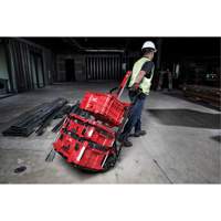 Packout 2-Wheel Cart Absolute Business Supply
