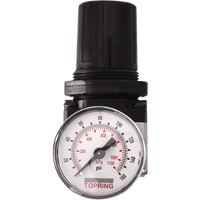 Regulators, 1/4" NPT, 150 PSI Max. PSI, Modular Absolute Business Supply