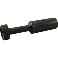 P.t.c. Plug Absolute Business Supply