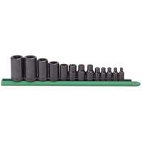 Jeu de douilles externes Torx, Prise 1/2"/1/4"/3/8" Absolute Business Supply