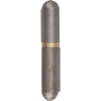 Weld-On Hinges