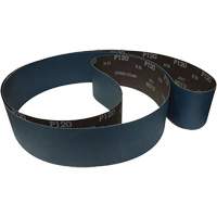 Sanding Belt, 60 Grit Absolute Business Supply