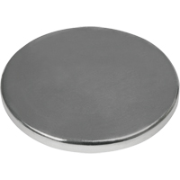 Rare Earth Magnets