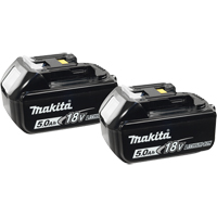 Blocs-piles, Lithium-ion, 18 V, 5,0 A Absolute Business Supply