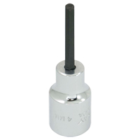 Embout de rechange, 5 mm x 1-1/5" lo, Prise 3/8" Absolute Business Supply