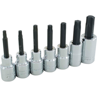 Jeu de douilles Torx, Torx, Prise 1/2", 7 mrcx Absolute Business Supply