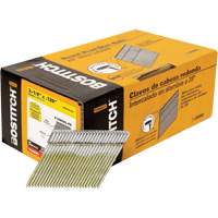 28° Angled Framing Nails Absolute Business Supply