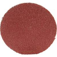 Roloc Disc 361F, 1-1/2" Dia., P100 Grit, Aluminum Oxide Absolute Business Supply