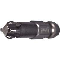 ACR&reg; Power Bit, Phillips, #2 Tip, 1/4" Drive Size, 2-3/4" Length Absolute Business Supply