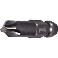 Power Bit, Phillips, #2 Tip, 1/4" Drive Size, 2-3/4" Length Absolute Business Supply