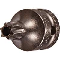 Socket Bit, Torx&reg; Tamper, 8 x 3/4" L, 1/4" Drive Absolute Business Supply