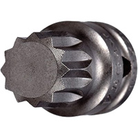 Socket Bit, Triple Square, 5 x 3/4" L, 1/4" Drive Absolute Business Supply