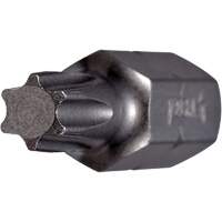 Embout, Torx, 8, Prise 1/4" Absolute Business Supply