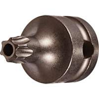 Socket Bit, Torx&reg; Tamper, 25 x 1" L, 3/8" Drive Absolute Business Supply