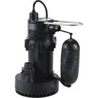 Pompe de puisard de s&eacute;rie 5.5, 35 gal./min, 115 V, 3,5 A, 1/4 CV Absolute Business Supply