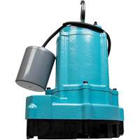 Pompe d'effluent de s&eacute;rie 9EC, 70 gal./min, 115 V, 7,5 A, 4/10 CV Absolute Business Supply