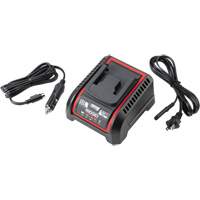 Chargeur de batterie 2,5 Ah et 5,0 Ah, 120 V, Lithium-ion Absolute Business Supply