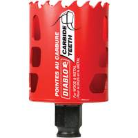 Scie cloche pour bois et m&eacute;tal, 2-1/8", Profondeur de la coupe 2-3/8", Carbure Absolute Business Supply