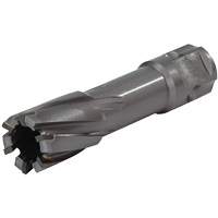Universal Shank Annular Cutter, 1/2" Diameter, Carbide, 1" Depth of Cut, 3/4" Shank Absolute Business Supply