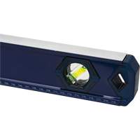 High-Accuracy Level, Box, 4' L, Aluminum, 3, Non-Magnetic Absolute Business Supply