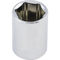 Regular Chrome Socket, 1/2", 3/8" Drive, 6 Points Absolute Business Supply