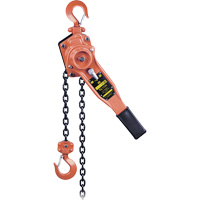 KLP-75-10 KLP Series Heavy-Duty Lever Chain Hoist, 10' Lift, 1500 lbs. (0.75 tons) Capacity Absolute Business Supply