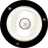 Bull's-Eye Level Absolute Business Supply