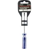 Tournevis &agrave; fente bleu transparent avec bandes , Tige de 1/8", Ronde, Prise en Plastique Absolute Business Supply